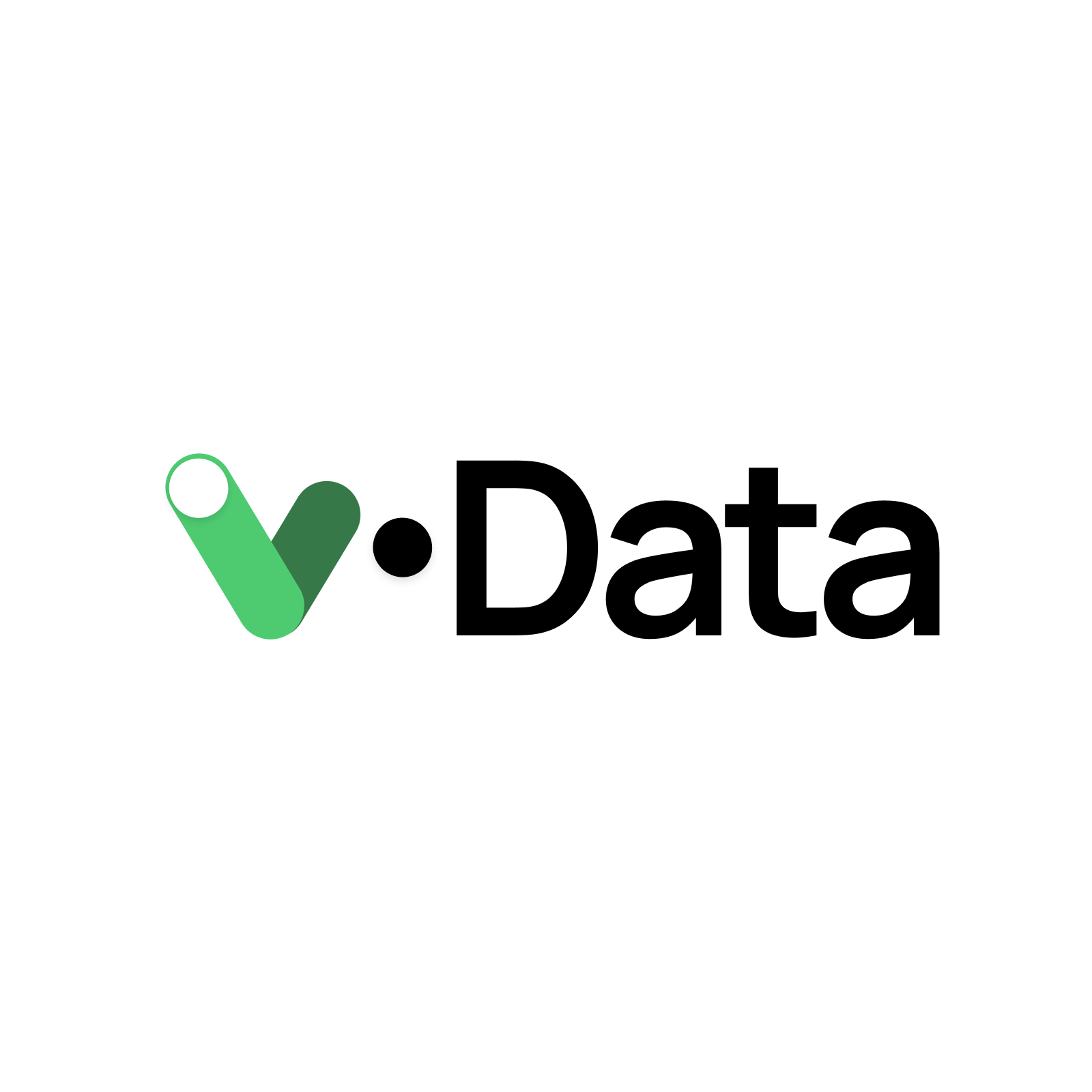 V-Data final conference
